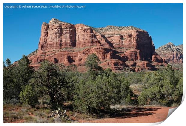 Red Rock Trees Mountain, Sedona Print by Adrian Beese