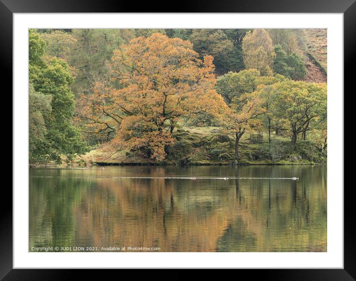 Autumn at Loughrigg Tarn Framed Mounted Print by JUDI LION