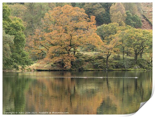 Autumn at Loughrigg Tarn Print by JUDI LION