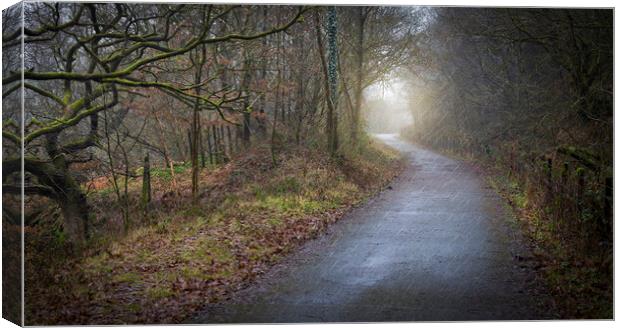 A country lane Canvas Print by Leighton Collins