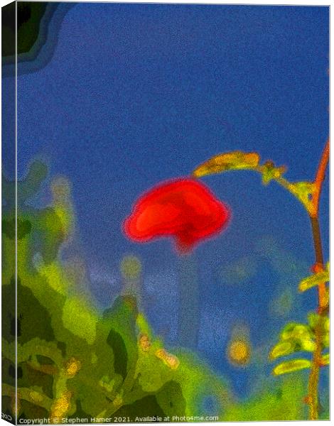 Artistic Poppy Canvas Print by Stephen Hamer
