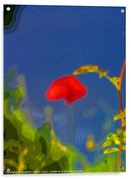Artistic Poppy Acrylic by Stephen Hamer