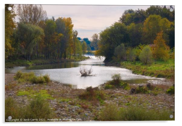 Autumn landscapes in the river Ter. Osona, Catalonia Acrylic by Jordi Carrio