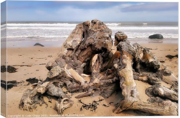 Driftwood Canvas Print by Colin Chipp