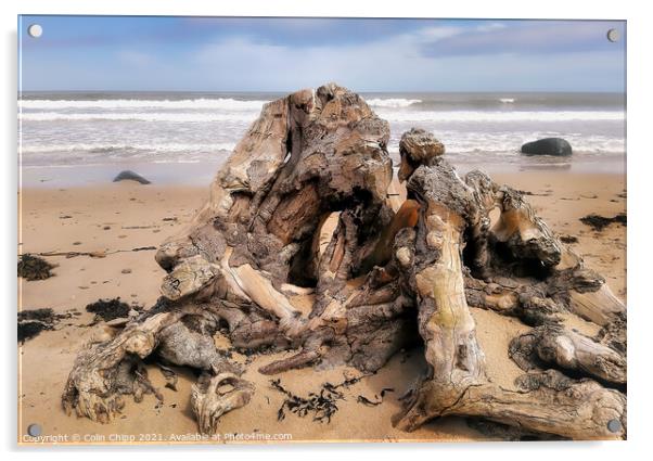 Driftwood Acrylic by Colin Chipp
