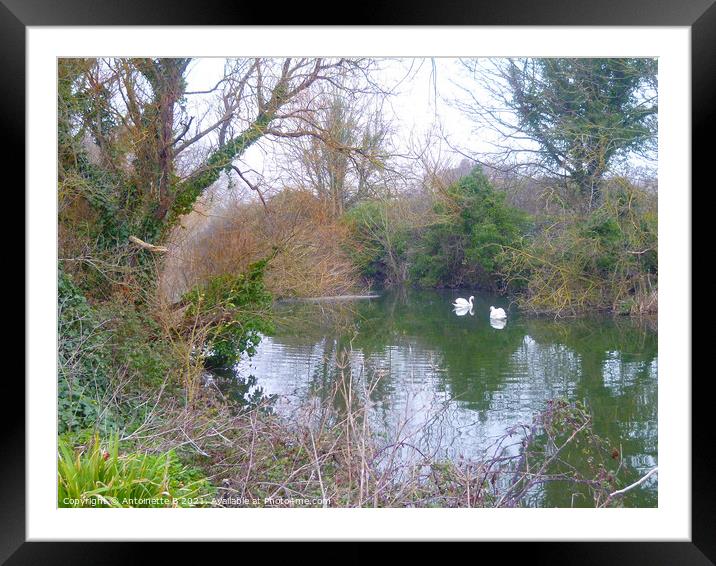 Winter reflections on Princes Parade Hythe Kent  Framed Mounted Print by Antoinette B