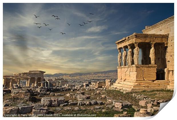 The Caryatid porch of the Erechtheion in Athens Print by Tony Sharp LRPS CPAGB