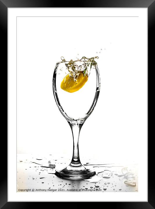 Lemon splash Framed Mounted Print by Anthony Hedger