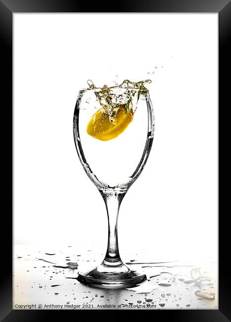 Lemon splash Framed Print by Anthony Hedger