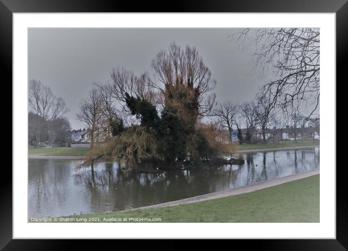Bird Island of Central Park Framed Mounted Print by Photography by Sharon Long 