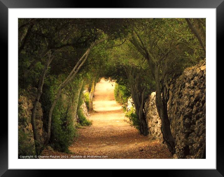  Enchanting Tree Arches of Es Migjorn Menorca Framed Mounted Print by Deanne Flouton