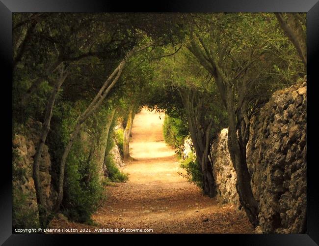  Enchanting Tree Arches of Es Migjorn Menorca Framed Print by Deanne Flouton