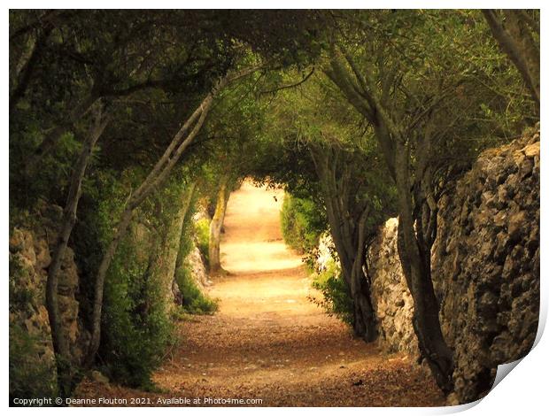  Enchanting Tree Arches of Es Migjorn Menorca Print by Deanne Flouton