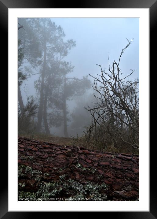 Forest and fog in Serra da Estrela 2 Framed Mounted Print by Angelo DeVal