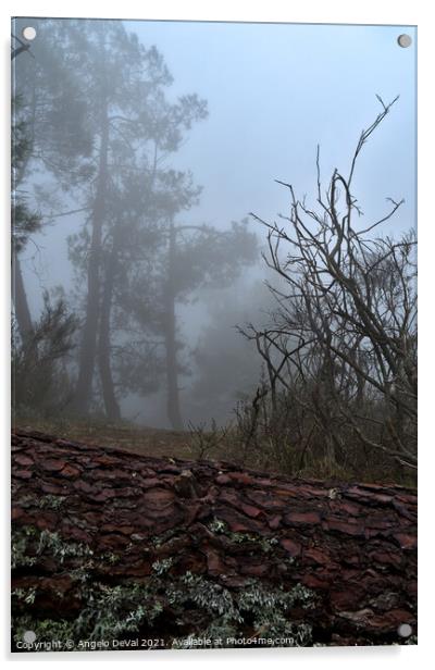 Forest and fog in Serra da Estrela 2 Acrylic by Angelo DeVal