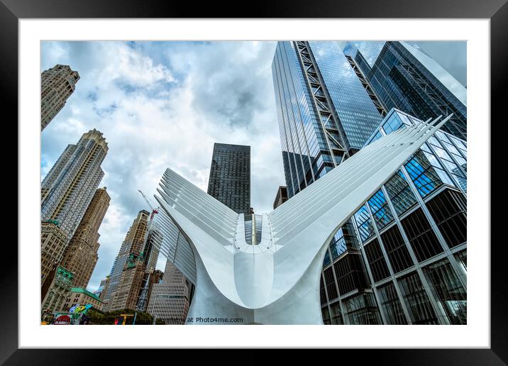 Taking flight - the Oculus Framed Mounted Print by Martin Williams