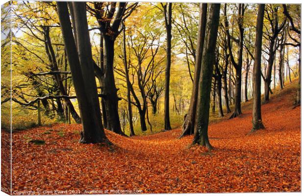 Autumn Woodland Canvas Print by Glyn Evans