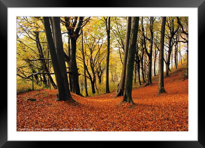 Autumn Woodland Framed Mounted Print by Glyn Evans