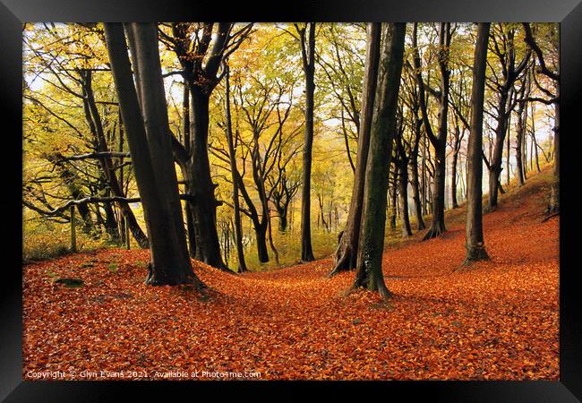 Autumn Woodland Framed Print by Glyn Evans