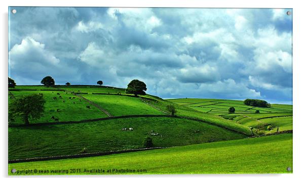 Derbyshire hills Acrylic by Sean Wareing