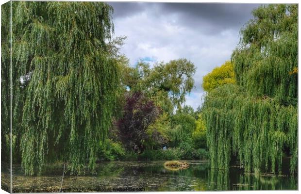 Gooderstone Water Gardens  Canvas Print by Jacqui Farrell