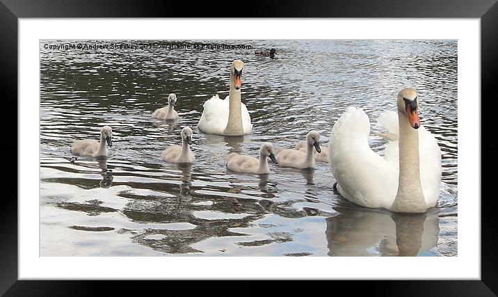 Family day out Framed Mounted Print by Andrew Sheekey