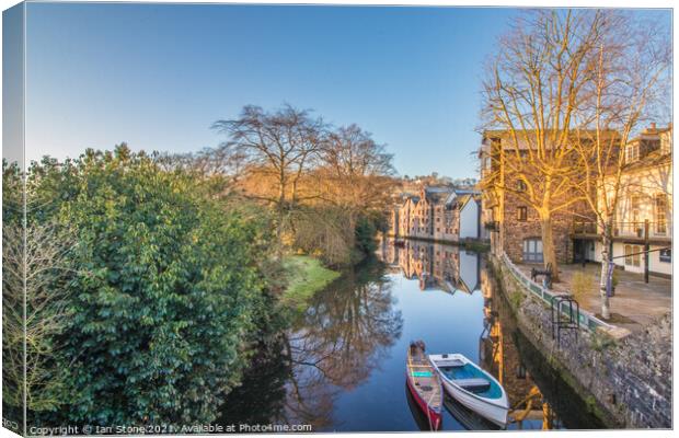 River Dart at Totnes  Canvas Print by Ian Stone