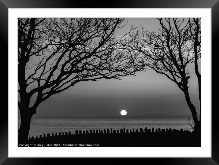 Sunset with trees in silhouette Framed Mounted Print by Rory Hailes
