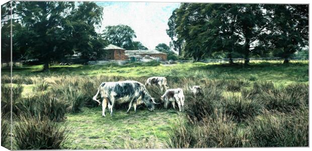 cattle in a farm field eating grass Canvas Print by Stuart Chard