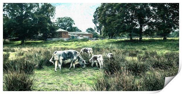 cattle in a farm field eating grass Print by Stuart Chard