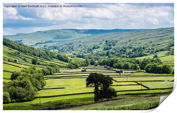 Barns and Walls in Upper Swaledale Yorkshire Dales Print by Pearl Bucknall