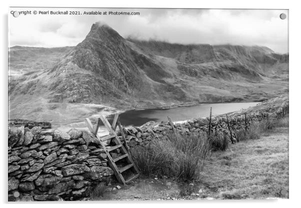 Path to Ogwen Snowdonia Wales in Monochrome Acrylic by Pearl Bucknall