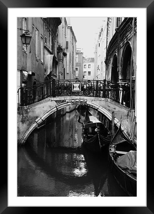 Venice II Framed Mounted Print by alan willoughby