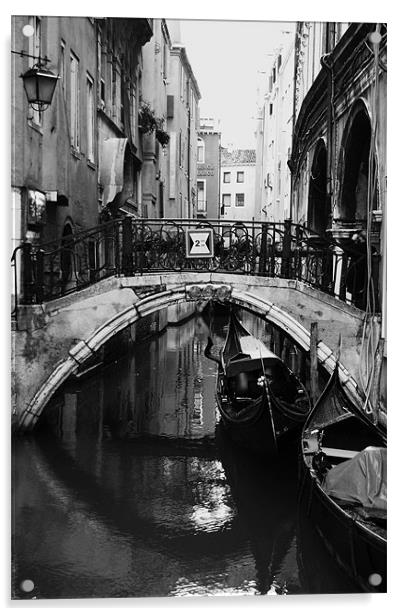 Venice II Acrylic by alan willoughby