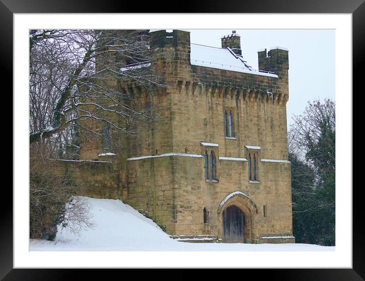 Morpeth castle Framed Mounted Print by David Thompson