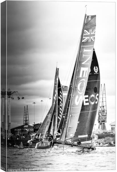 Inshore racing Canvas Print by Ed Whiting