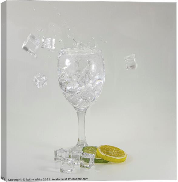 ice with your gin,  gin and tonic, with a slice  Canvas Print by kathy white