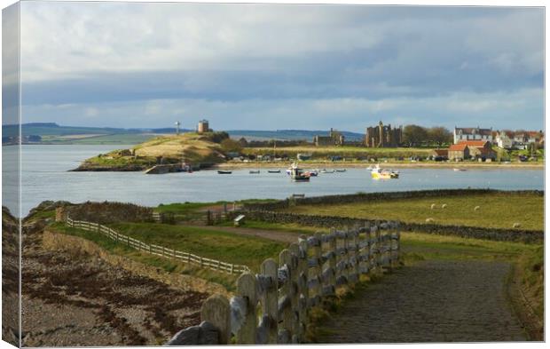 Holy island harbour from Lindisfarne castle Canvas Print by David Thompson