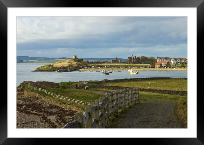 Holy island harbour from Lindisfarne castle Framed Mounted Print by David Thompson