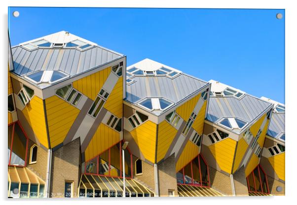 Cube houses in Rotterdam, Netherlands Acrylic by Chun Ju Wu