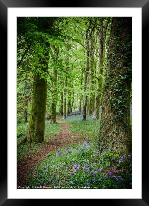 The Path into the Bluebell Wood  Framed Mounted Print by Heidi Stewart