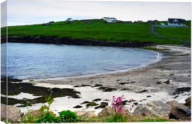 At Kirkness on Whalsay Canvas Print by Steven Watson