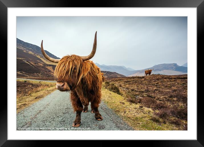 Highland Cow, Isle of Skye Framed Mounted Print by Jim Monk