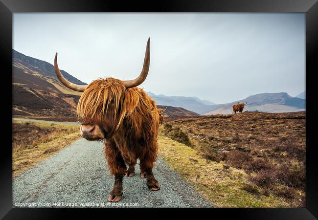 Highland Cow, Isle of Skye Framed Print by Jim Monk