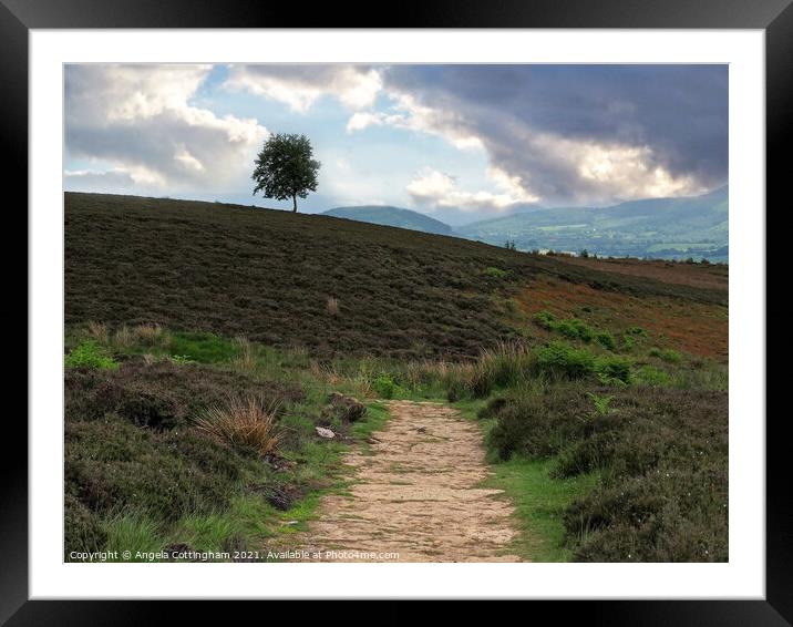 Path onto the Moor Framed Mounted Print by Angela Cottingham