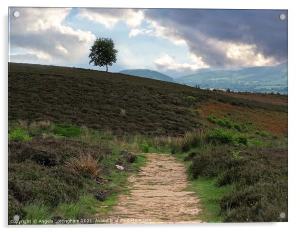 Path onto the Moor Acrylic by Angela Cottingham