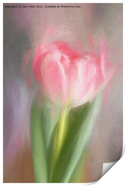 Pink Tulip Print by Lynn Bolt