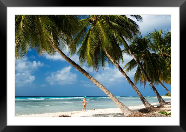 Girl on beach, Southern Barbados Framed Mounted Print by Geraint Tellem ARPS