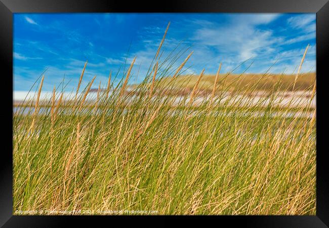 dune grass Framed Print by  Bullysoft