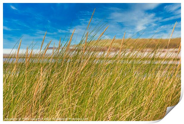 dune grass Print by  Bullysoft